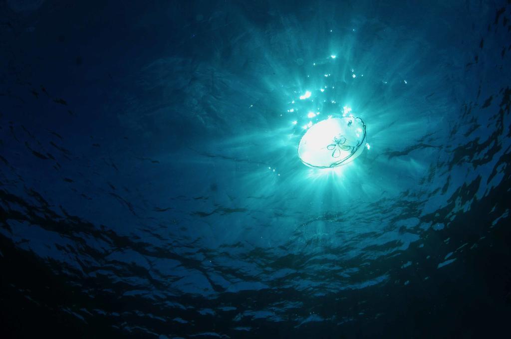 Bohio Dive Resort Cockburn Town Екстер'єр фото