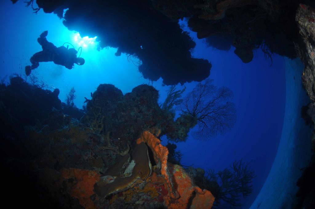 Bohio Dive Resort Cockburn Town Екстер'єр фото